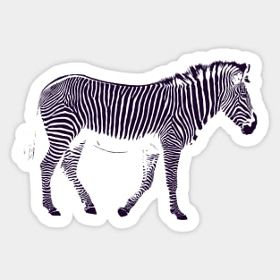 Zebra Stripes Sticker
